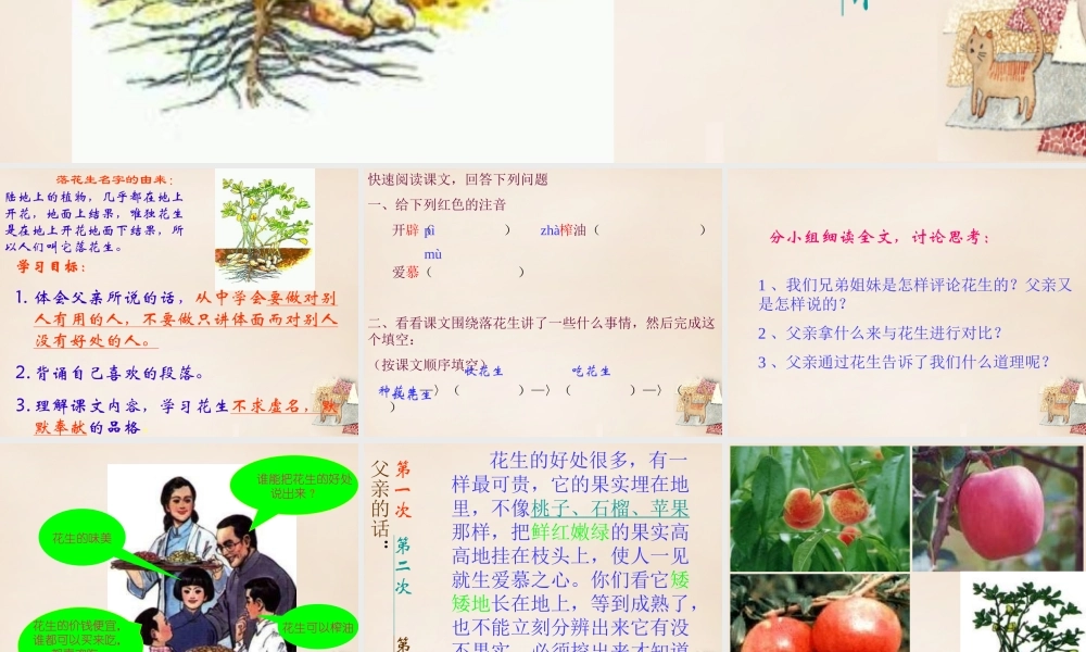 六年级语文下册《落花生》课件5 长春版-长春版小学六年级下册语文课件
