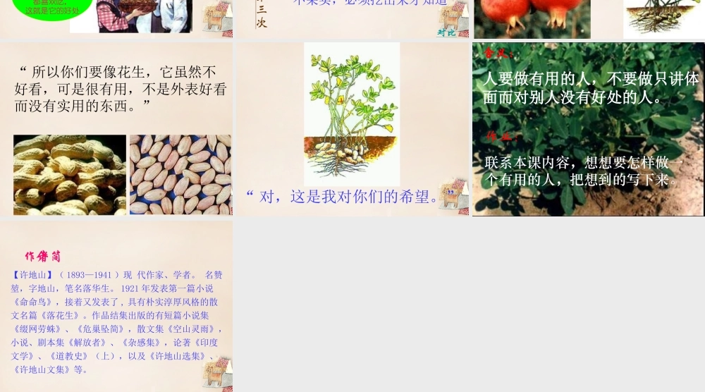 六年级语文下册《落花生》课件5 长春版-长春版小学六年级下册语文课件