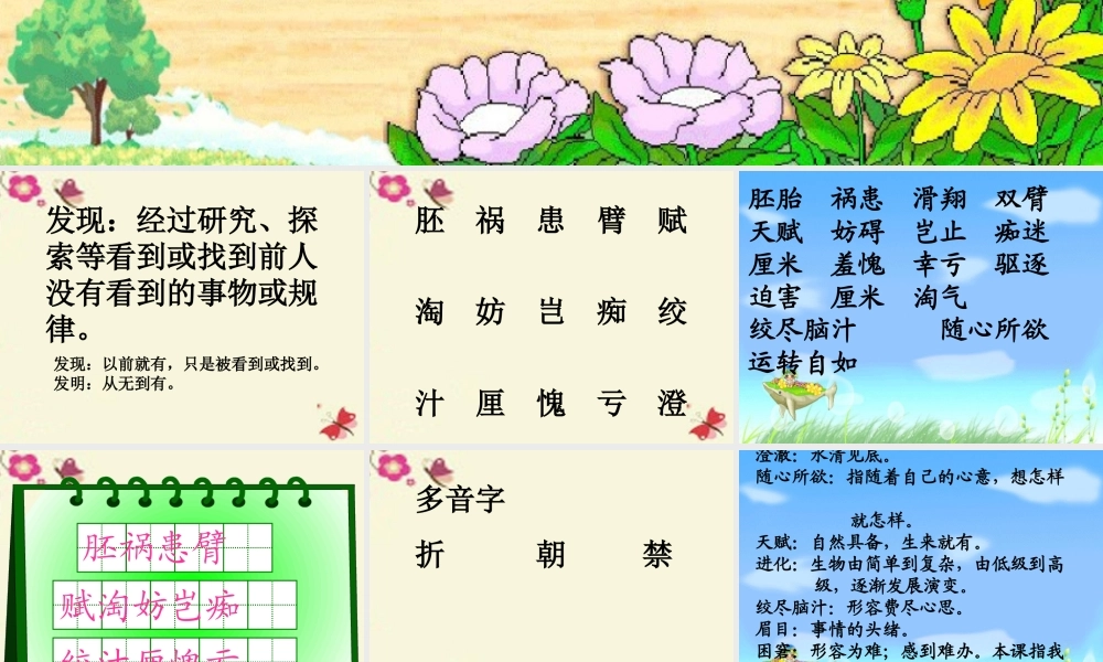 六年级语文下册 第3单元 选的发现》课件2 语文A版-语文A级下册语文课件