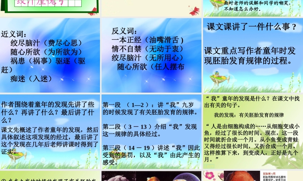 六年级语文下册 第3单元 选的发现》课件2 语文A版-语文A级下册语文课件