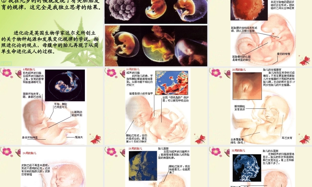 六年级语文下册 第3单元 选的发现》课件2 语文A版-语文A级下册语文课件