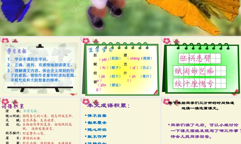 六年级语文下册 第3单元 选的发现》课件3 语文A版-语文A级下册语文课件