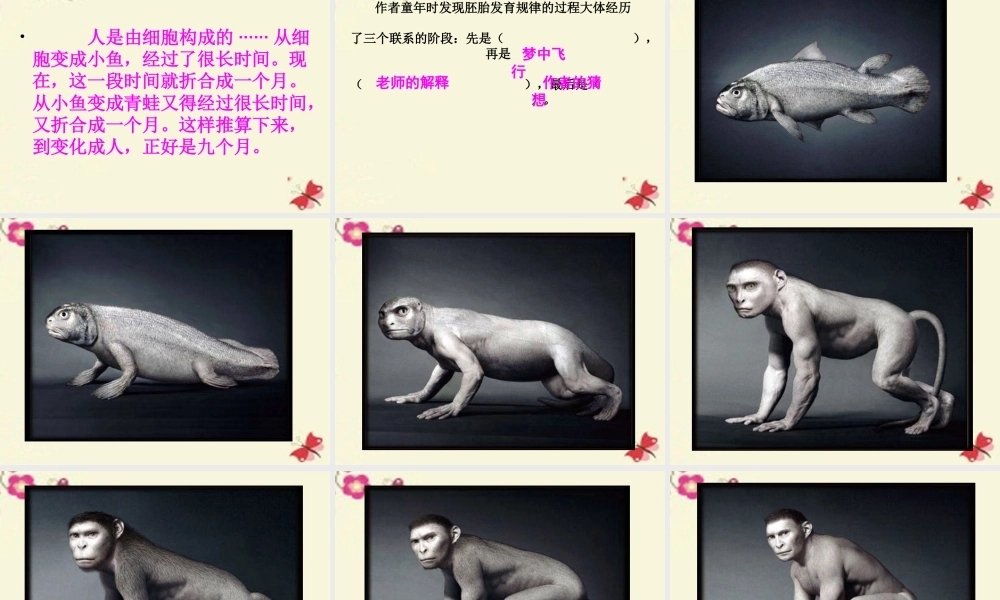 六年级语文下册 第3单元 选的发现》课件3 语文A版-语文A级下册语文课件