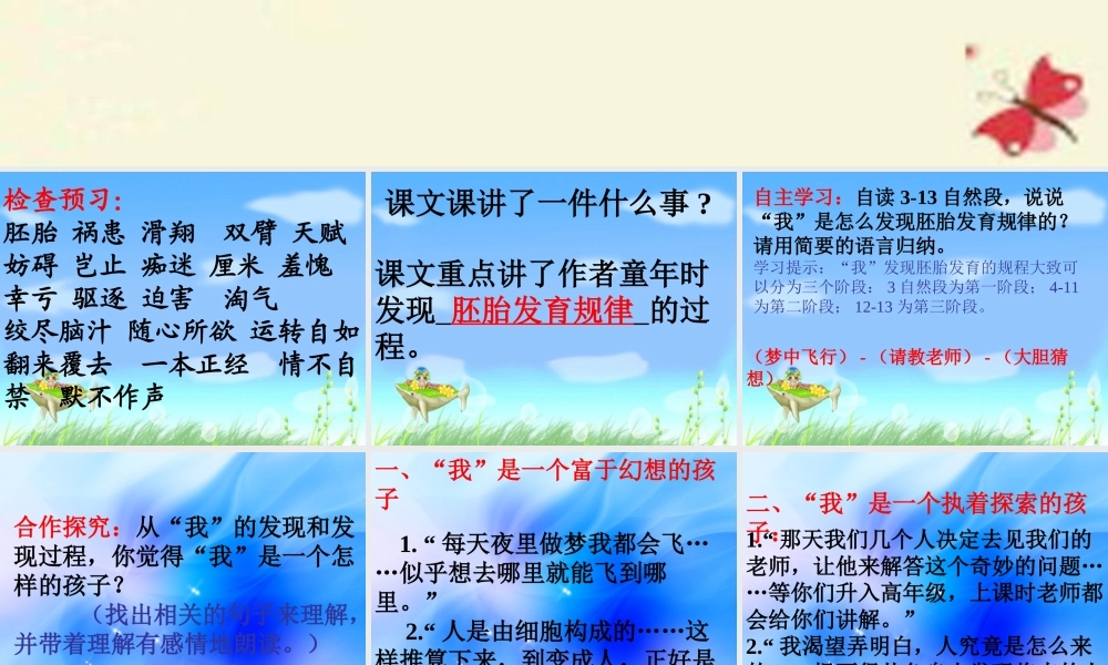 六年级语文下册 第3单元 选的发现》课件4 语文A版-语文A级下册语文课件