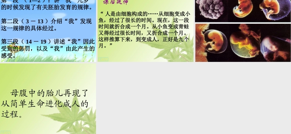 六年级语文下册 第3单元 选的发现》课件4 语文A版-语文A级下册语文课件