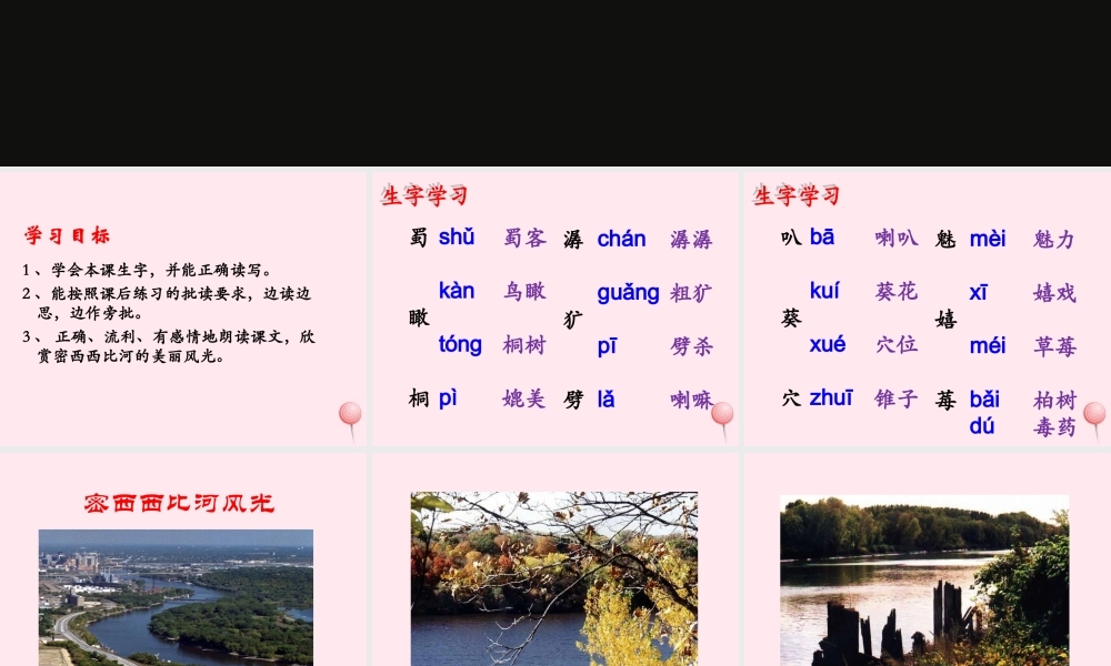 六年级语文下册《密西西比河风光》教学课件