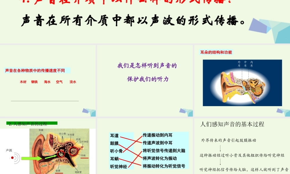 四年级科学上册 3.6 我们是怎样听到声音的课件1 教科版-教科版小学四年级上册自然科学课件