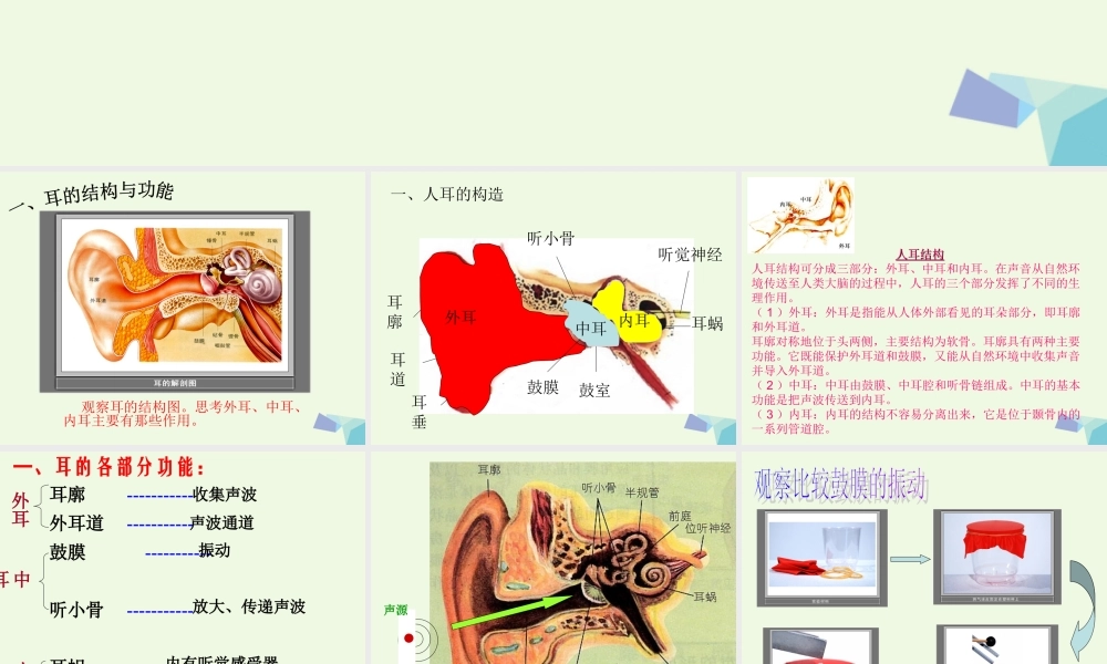 四年级科学上册 3.6 我们是怎样听到声音的课件2 教科版-教科版小学四年级上册自然科学课件