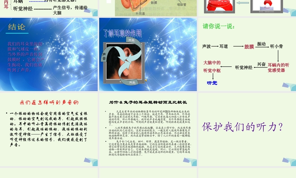 四年级科学上册 3.6 我们是怎样听到声音的课件2 教科版-教科版小学四年级上册自然科学课件