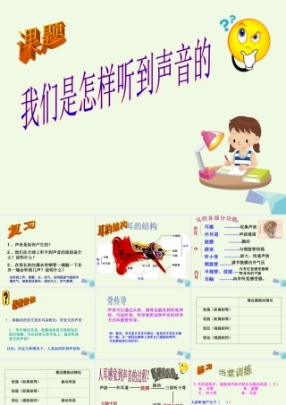 四年级科学上册 3.6 我们是怎样听到声音的课件3 教科版-教科版小学四年级上册自然科学课件