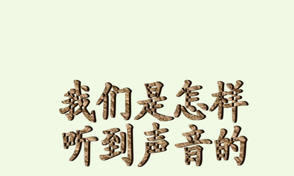四年级科学上册 3.6 我们是怎样听到声音的课件4 教科版-教科版小学四年级上册自然科学课件
