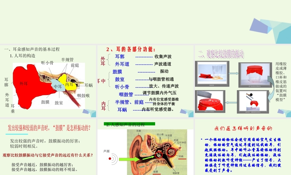 四年级科学上册 3.6 我们是怎样听到声音的课件4 教科版-教科版小学四年级上册自然科学课件