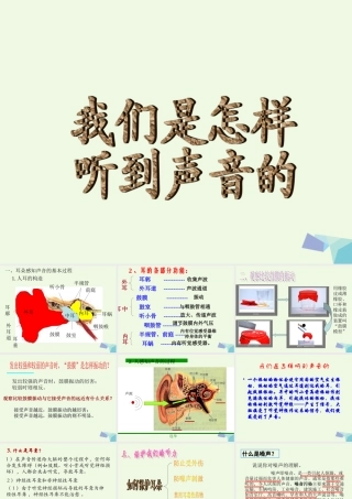四年级科学上册 3.6 我们是怎样听到声音的课件4 教科版-教科版小学四年级上册自然科学课件