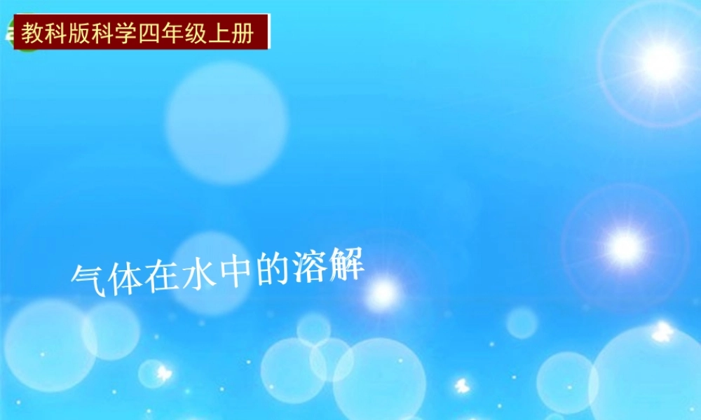 四年级科学上册 4、气体在水中的溶解课件 教科版