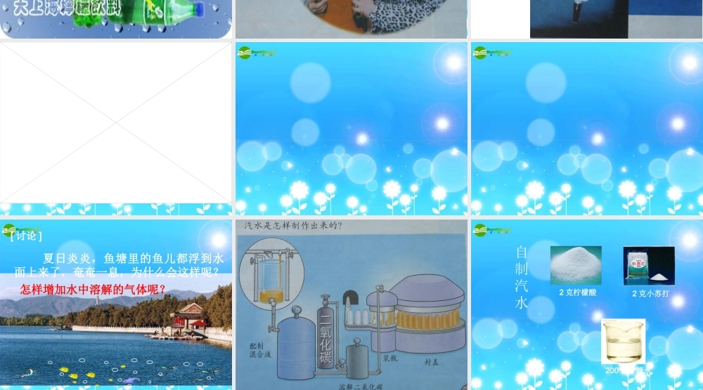 四年级科学上册 4、气体在水中的溶解课件 教科版