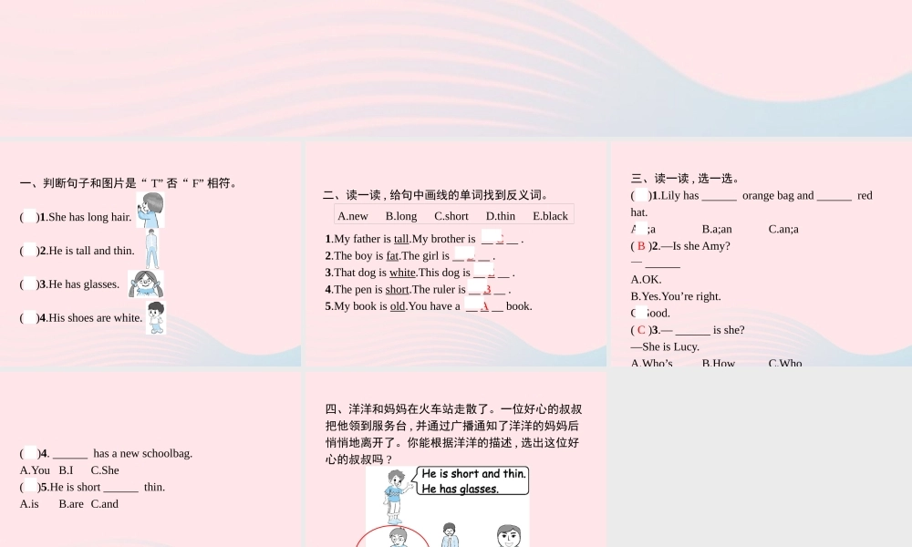 四年级英语上册 Unit 3 My friends Part B（3）Read and write Let’s check Let’s sing作业课件 人教PEP-人教PEP小学四年级上册英语课件