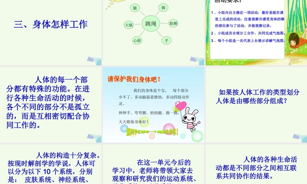 四年级科学上册 4.1 身体的结构课件1 教科版-教科版小学四年级上册自然科学课件