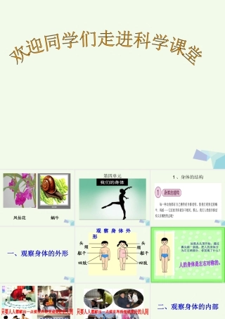 四年级科学上册 4.1 身体的结构课件1 教科版-教科版小学四年级上册自然科学课件