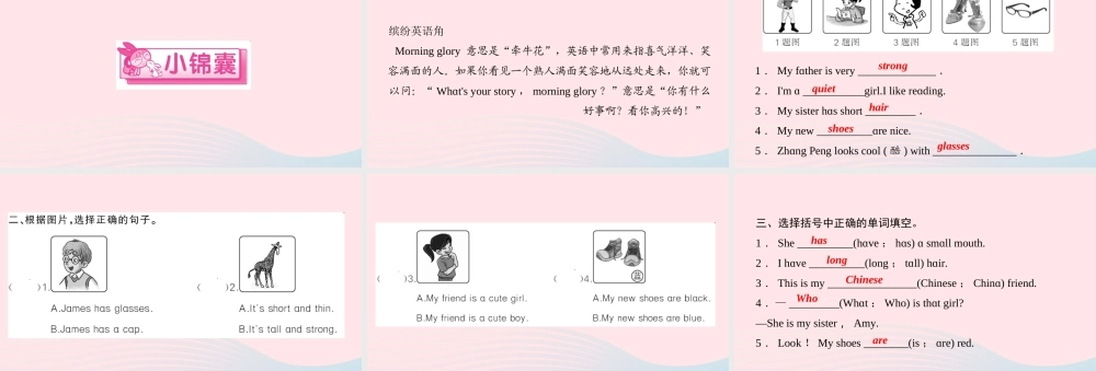 四年级英语上册 Unit 3 My friends Part B第三课时作业课件 人教PEP-人教PEP小学四年级上册英语课件