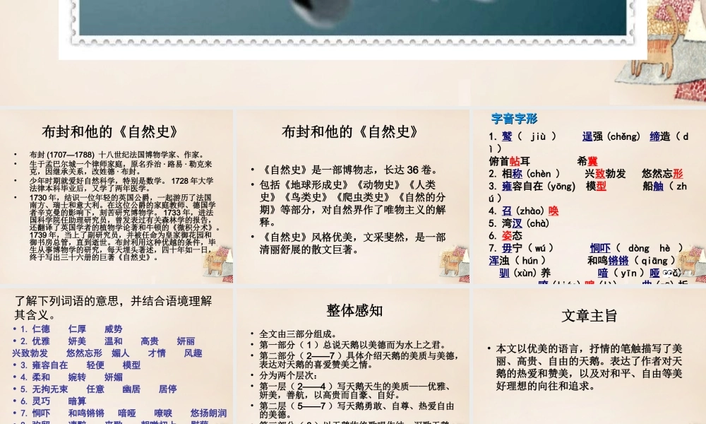 六年级语文下册《天鹅》课件1 长春版-长春版小学六年级下册语文课件