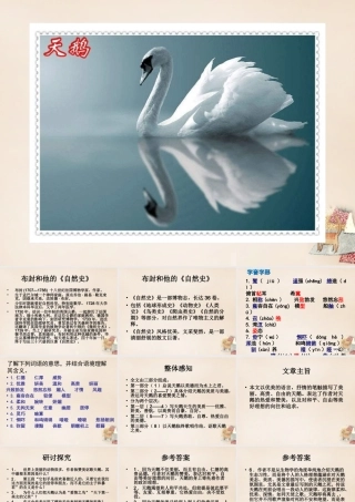 六年级语文下册《天鹅》课件1 长春版-长春版小学六年级下册语文课件