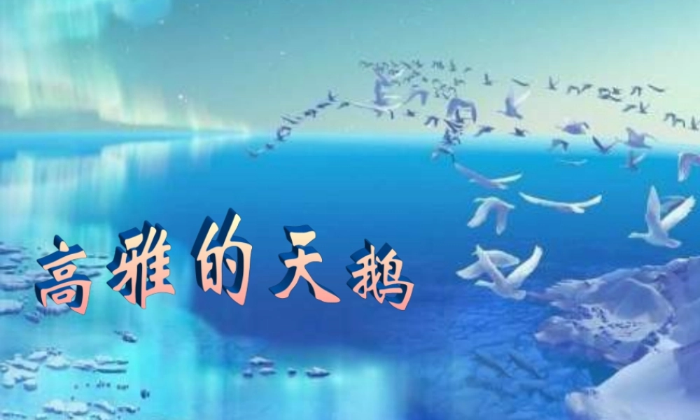 六年级语文下册《天鹅》课件5 长春版-长春版小学六年级下册语文课件