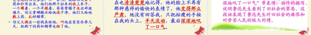 六年级语文下册 第4单元 17《我的伯父鲁迅先生》课件2 语文S版-语文S版小学六年级下册语文课件
