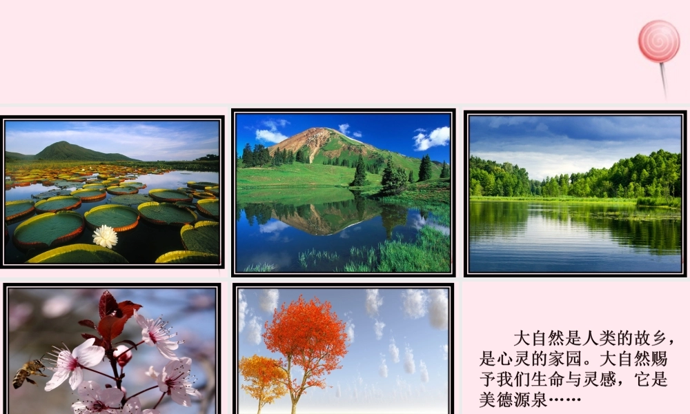 六年级语文下册《我爱大自然》教学课件 教科版-教科版小学六年级下册语文课件