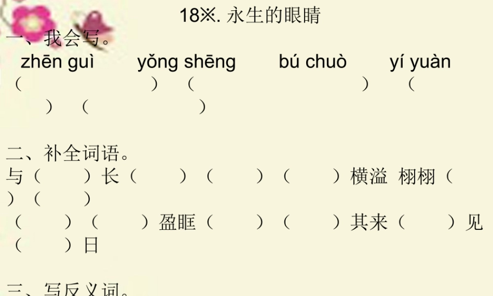 六年级语文下册 第4单元 18《永生的眼睛》课件3 语文S版-语文S版小学六年级下册语文课件