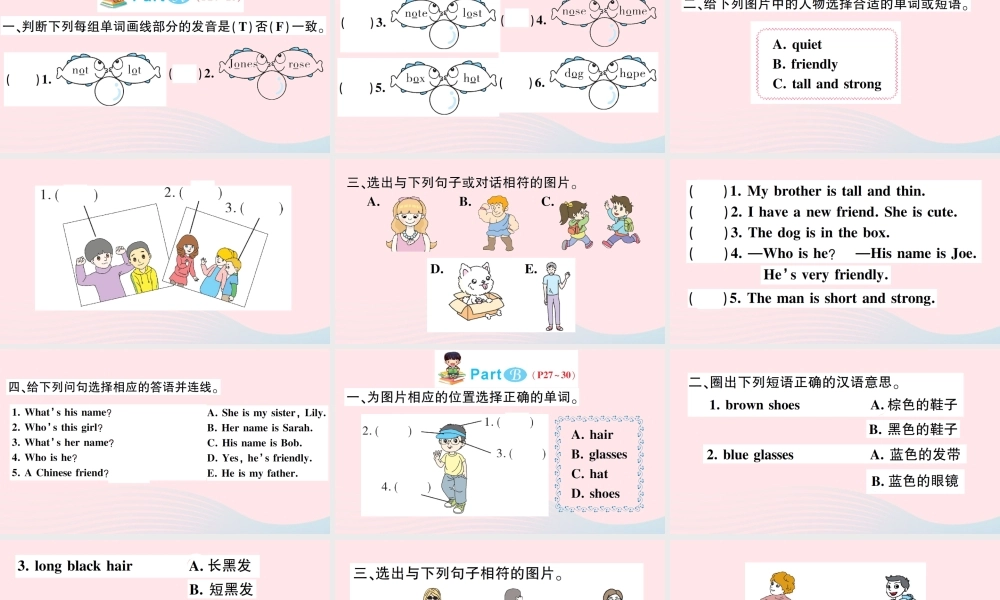 四年级英语上册 Unit 3 My friends作业课件 人教PEP-人教PEP小学四年级上册英语课件