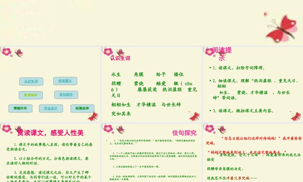 六年级语文下册 第4单元 18《永生的眼睛》课件4 语文S版-语文S版小学六年级下册语文课件