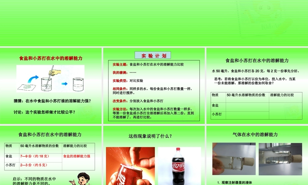 四年级科学上册 不同物质在水中的溶解能力 1课件 教科版