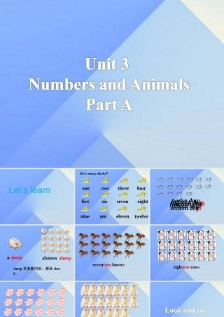 四年级英语上册 Unit 3 Numbers and animals Part A课件1 （新版）闽教版-闽教版小学四年级上册英语课件