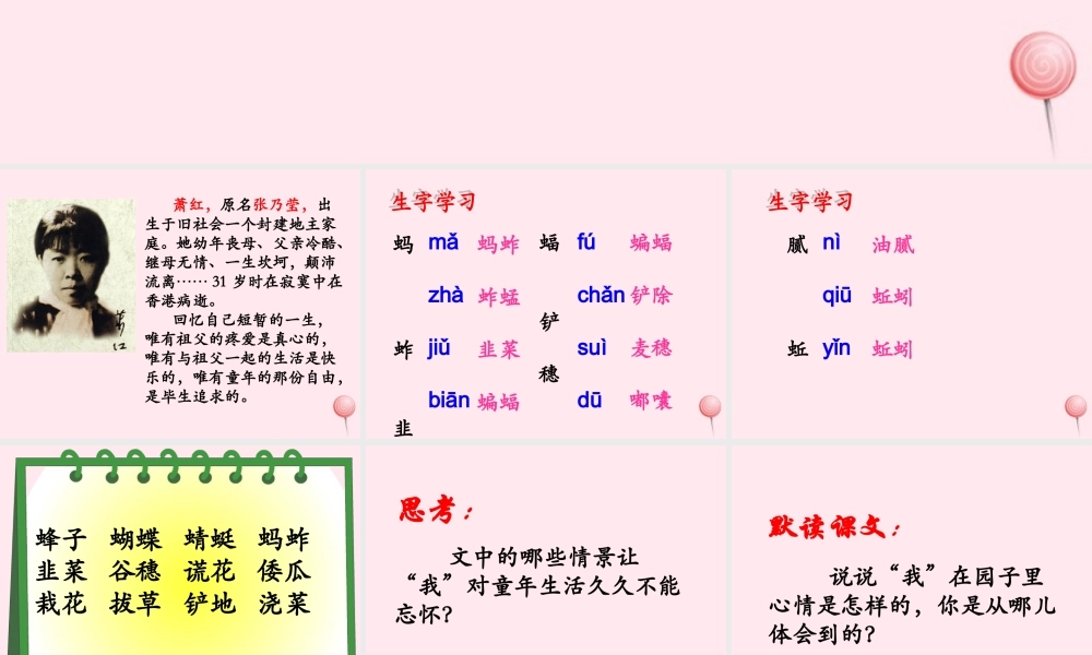 六年级语文下册《我和祖父的花园》教学课件（简要参考）