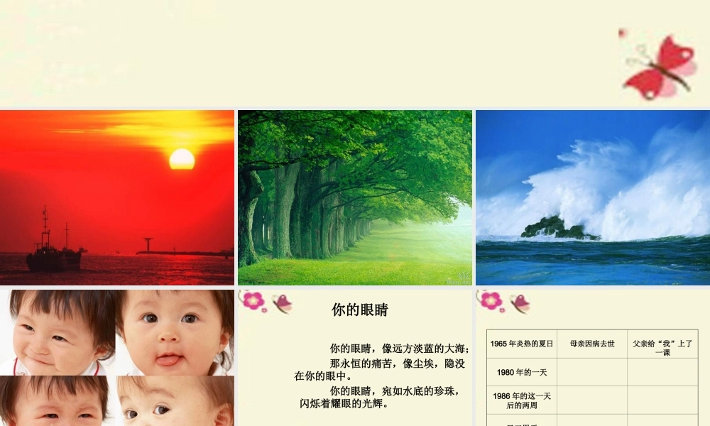 六年级语文下册 第4单元 18《永生的眼睛》课件6 语文S版-语文S版小学六年级下册语文课件