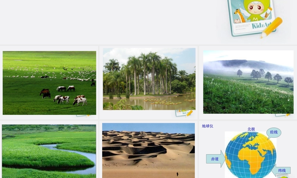 四年级科学上册 地球上有什么 1课件 青岛版五年制