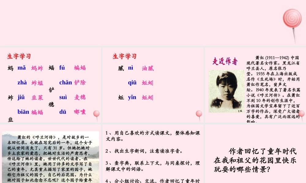 六年级语文下册《我和祖父的花园》教学课件（详细解读）