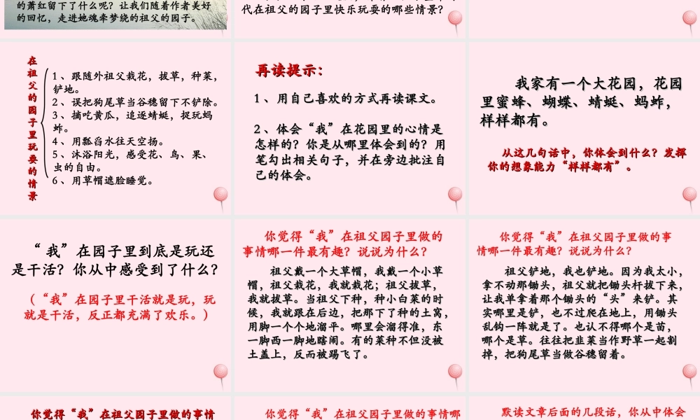 六年级语文下册《我和祖父的花园》教学课件（详细解读）