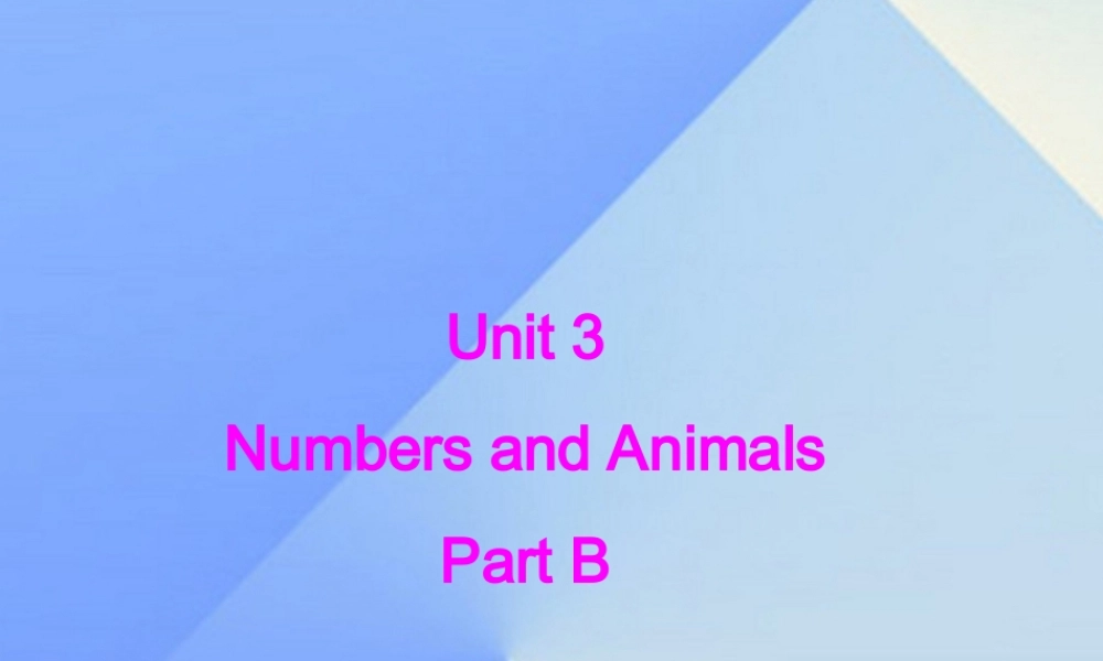 四年级英语上册 Unit 3 Numbers and animals Part B课件2 （新版）闽教版-闽教版小学四年级上册英语课件