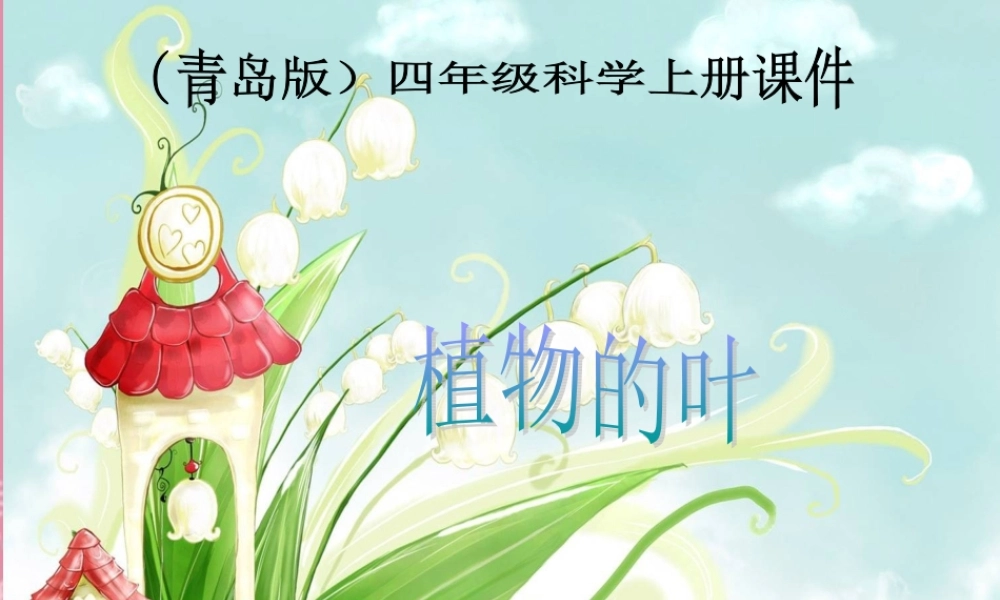 四年级科学上册 各种各样的叶课件 首师大版