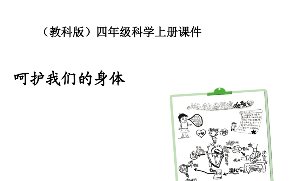 四年级科学上册 呵护我们的身体 1课件 教科版