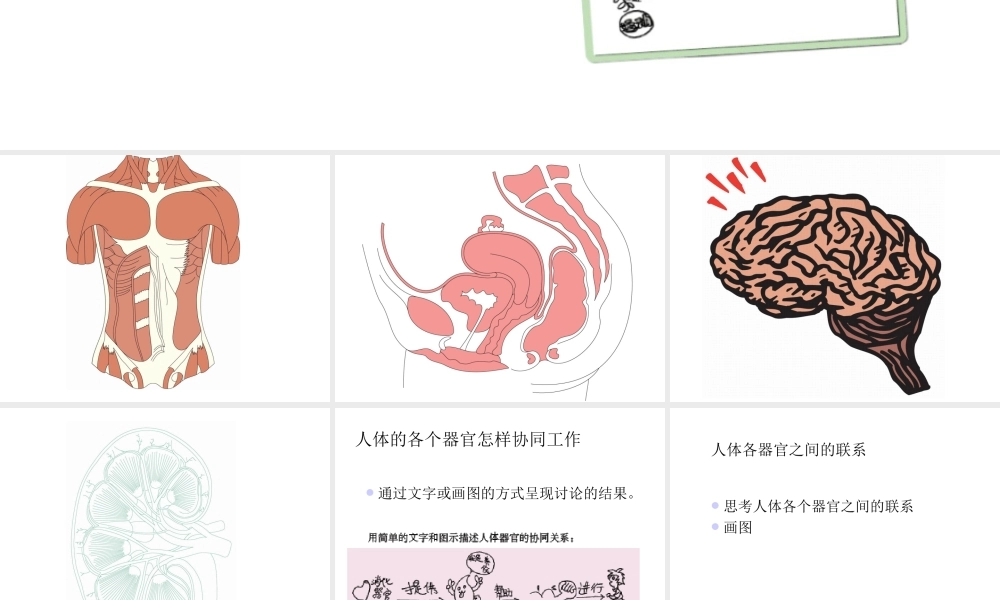四年级科学上册 呵护我们的身体 1课件 教科版