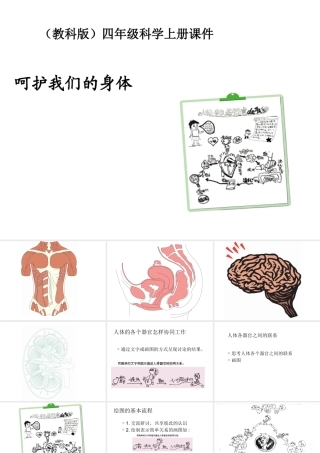 四年级科学上册 呵护我们的身体 1课件 教科版