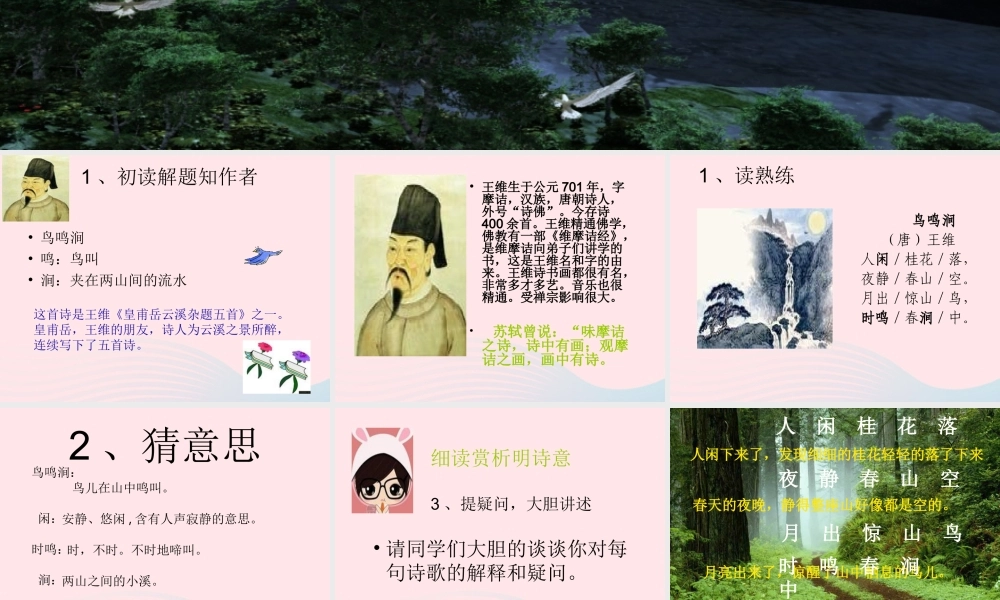 六年级语文下册 古诗词背诵 2鸟鸣涧课件 新人教版-新人教版小学六年级下册语文课件