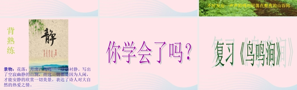 六年级语文下册 古诗词背诵 2鸟鸣涧课件 新人教版-新人教版小学六年级下册语文课件
