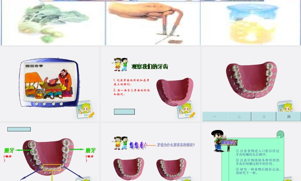 四年级科学上册 口腔里的变化 1课件 教科版