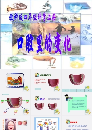 四年级科学上册 口腔里的变化 1课件 教科版