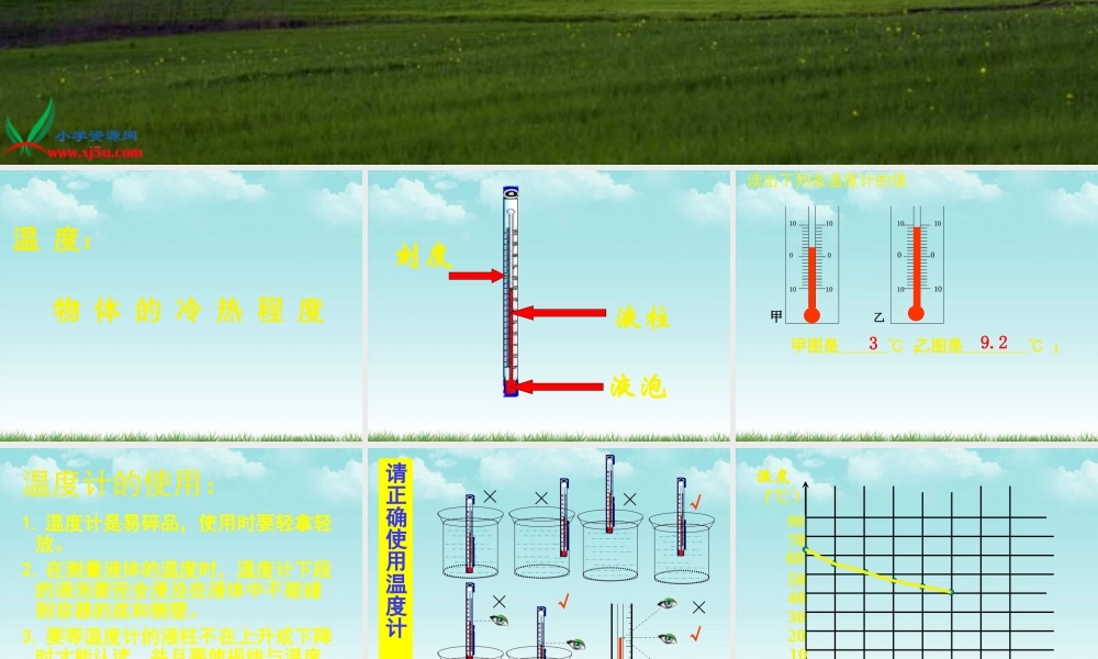 四年级科学上册 冷热与温度 1课件 苏教版