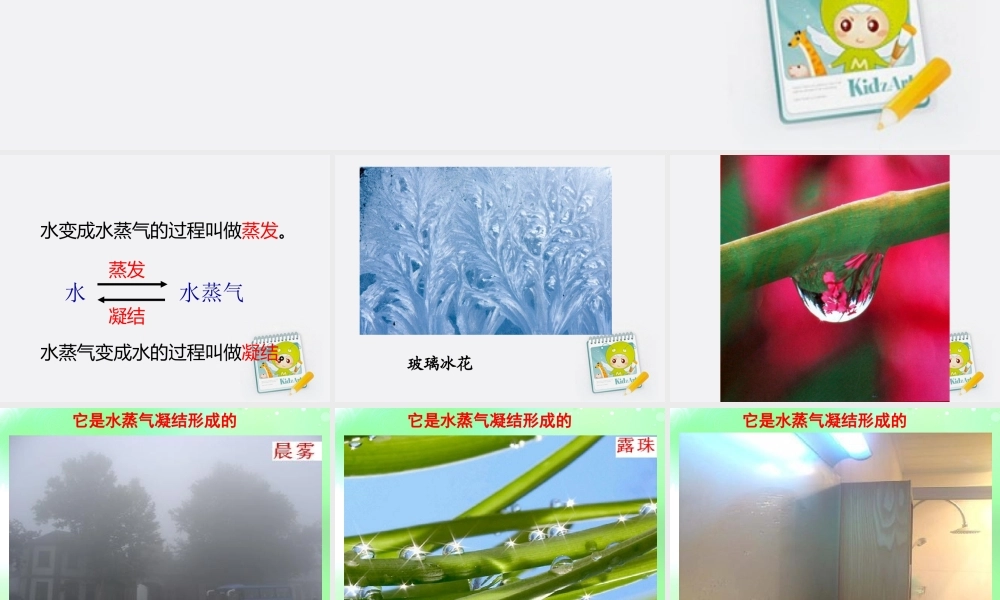 四年级科学上册 凝结 2课件 青岛版五年制