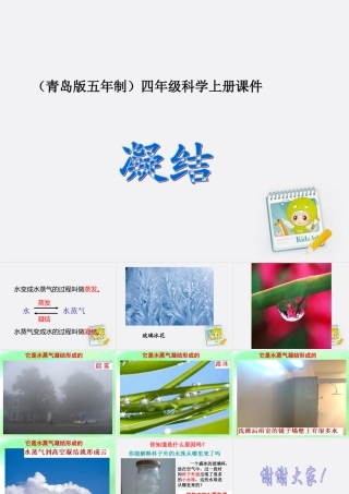 四年级科学上册 凝结 2课件 青岛版五年制
